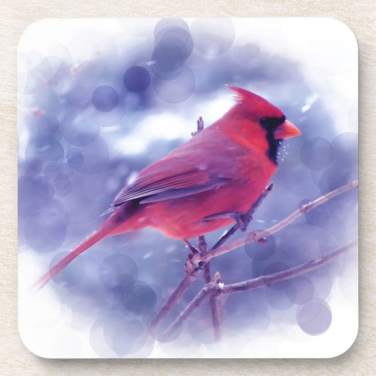 Dessous-de-verre Cardinal rouge au Blizzard (Devant)