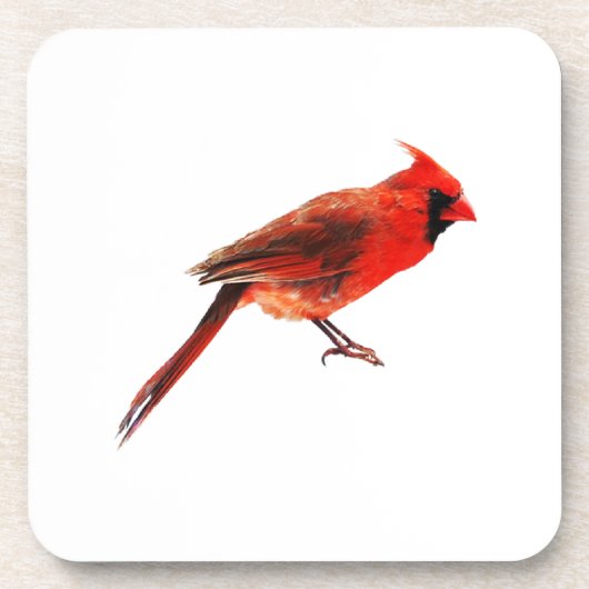 Dessous-de-verre Cardinal(s) (Devant)
