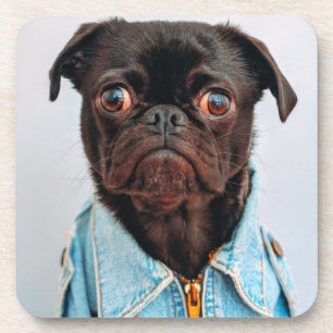 Dessous-de-verre Carlin en Denim Jackey Cute Adorable Chien Chien C