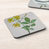 Dessous-de-verre Carolina Jasmine Botanique Art (Côté gauche)