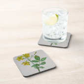 Dessous-de-verre Carolina Jasmine Botanique Art (Côté Droit)