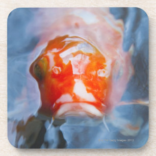 Dessous-de-verre Carpe de Koi (Cyprinus carpio), Japon