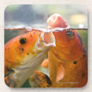 Dessous-de-verre Carpes de Koi