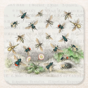Dessous-de-verre Carré En Papier Abeille Reine Entomologie Botanique Vintage
