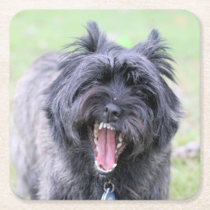 Dessous-de-verre Carré En Papier Achoo