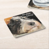 Dessous-de-verre Carré En Papier Adorable Bernedoodle (Incliné)