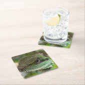 Dessous-de-verre Carré En Papier Agama, lézard (En situation)