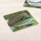 Dessous-de-verre Carré En Papier Agama, lézard (Incliné)