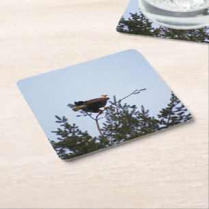 Dessous-de-verre Carré En Papier Aigle de Bald