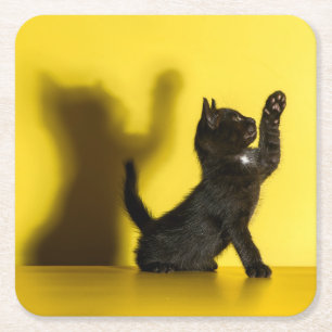 Dessous-de-verre Carré En Papier Animaux de bébés cutest Black Cat Jouer