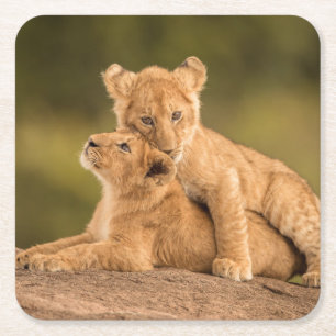 Dessous-de-verre Carré En Papier Animaux de bébés cutest Deux Lions Cubs