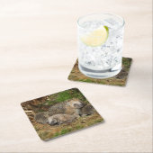 Dessous-de-verre Carré En Papier Animaux de bébés cutest | Famille Hérisson (En situation)