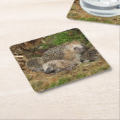 Dessous-de-verre Carré En Papier Animaux de bébés cutest | Famille Hérisson (Incliné)