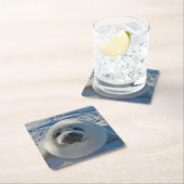 Dessous-de-verre Carré En Papier Animaux de bébés cutest | Phoque bébé (En situation)