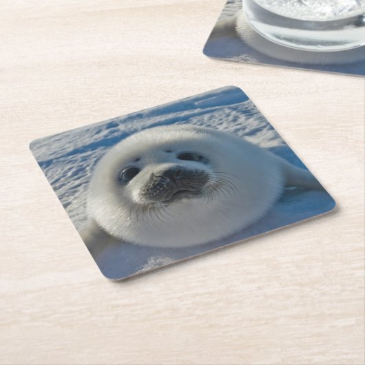 Dessous-de-verre Carré En Papier Animaux de bébés cutest | Phoque bébé (Incliné)