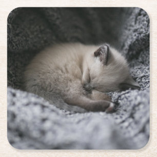 Dessous-de-verre Carré En Papier Animaux de bébés cutest Tiny Kitten Dormir