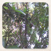 Dessous-de-verre Carré En Papier Arbre Avocado (Devant)