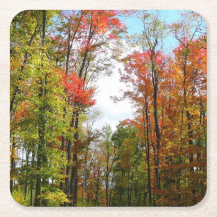 Dessous-de-verre Carré En Papier Arbres d'automne et ciel bleu Photographie de la n