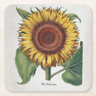 Dessous-de-verre Carré En Papier Art de fleur de damas vintage tournesol