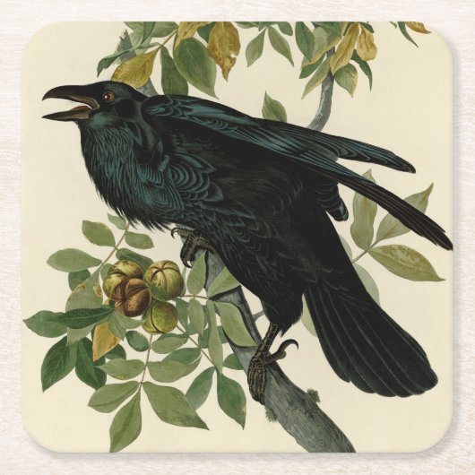Dessous-de-verre Carré En Papier Audubon Raven Oiseau classique (Devant)