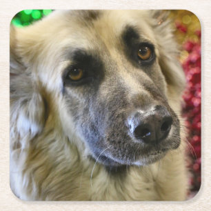 Dessous-de-verre Carré En Papier Aww