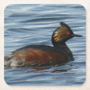 Dessous-de-verre Carré En Papier B1 Grèbe comestible
