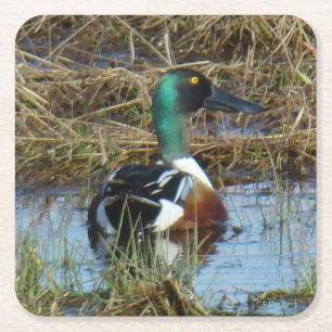 Dessous-de-verre Carré En Papier B26 Canard souchet