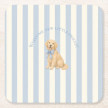 Baby Shower Retriever doré Bleu Golden