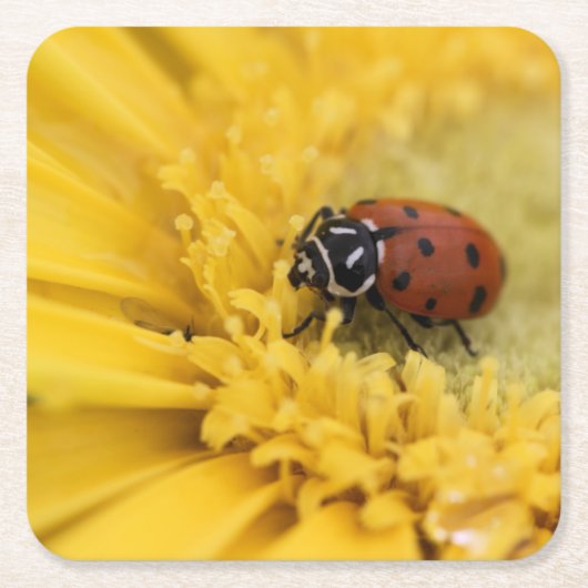 Dessous-de-verre Carré En Papier Bague (Devant)