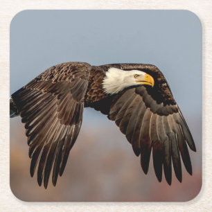 Dessous-de-verre Carré En Papier Bald Eagle en vol