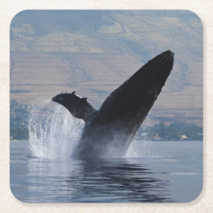 Dessous-de-verre Carré En Papier baleine à bosse