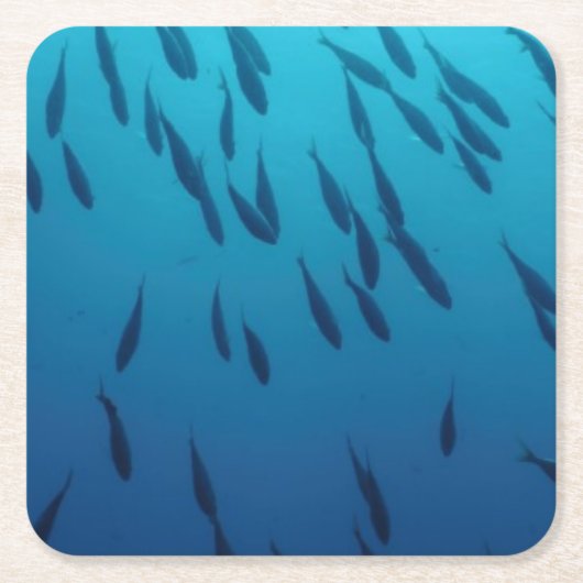 Dessous-de-verre Carré En Papier Banc des poissons (Devant)