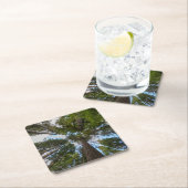 Dessous-de-verre Carré En Papier Barrage de Douglas Fir (En situation)