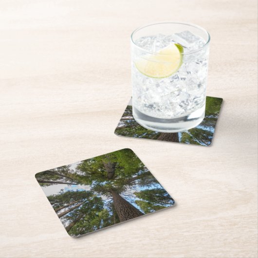 Dessous-de-verre Carré En Papier Barrage de Douglas Fir (En situation)