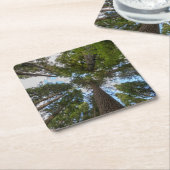 Dessous-de-verre Carré En Papier Barrage de Douglas Fir (Incliné)