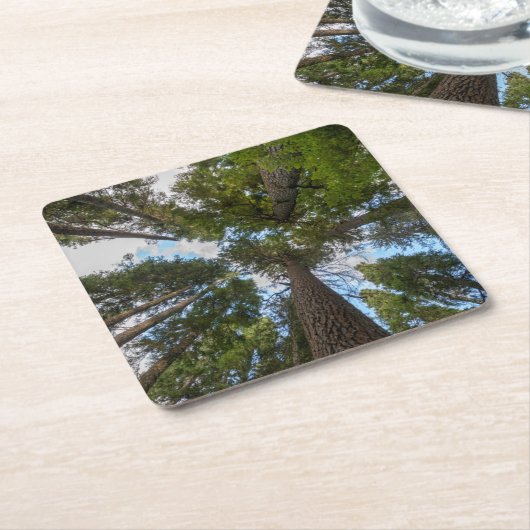 Dessous-de-verre Carré En Papier Barrage de Douglas Fir (Incliné)