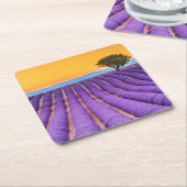 Dessous-de-verre Carré En Papier Beau champ de lavande en Provence (Incliné)