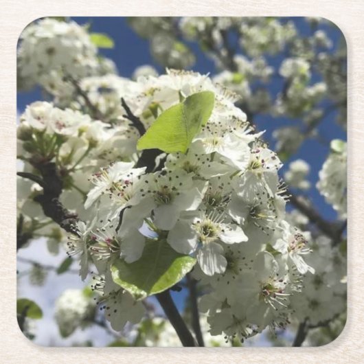 Dessous-de-verre Carré En Papier Beau Dessous de verre Fleurs (Devant)