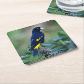 Dessous-de-verre Carré En Papier Beau Oiseau bleu et jaune (Incliné)