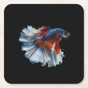 Dessous-de-verre Carré En Papier Beau poisson Betta Siamese