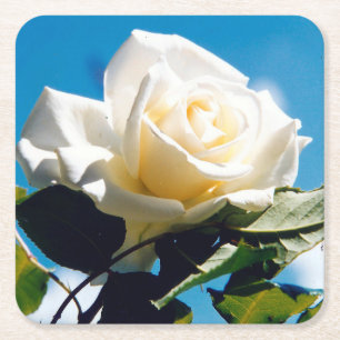 Dessous-de-verre Carré En Papier Beauté Rose Blanche