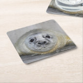 Dessous-de-verre Carré En Papier Bébé phoque gris (Incliné)