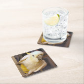 Dessous-de-verre Carré En Papier Bella boy (En situation)