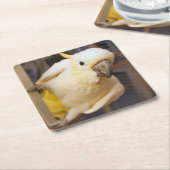 Dessous-de-verre Carré En Papier Bella boy (Incliné)