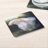 Dessous-de-verre Carré En Papier Belle Betta blanche Siamese Lutter Poisson (Incliné)