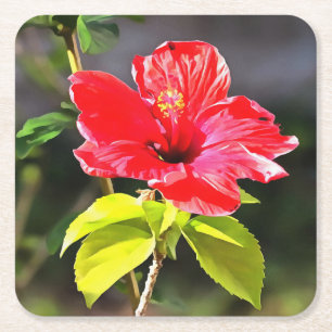 Dessous-de-verre Carré En Papier Belle Fleur d'Hibiscus Tropical Rouge Artistique