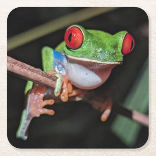 Dessous-de-verre Carré En Papier Belle grenouille à arbre rouge sur une branche