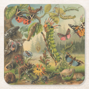 Dessous-de-verre Carré En Papier Belle insecte papillon Vintage