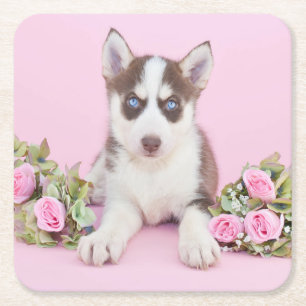 Dessous-de-verre Carré En Papier Belle marionnette Husky aux roses roses roses