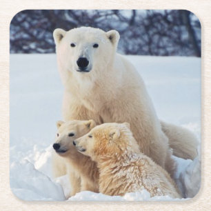 Dessous-de-verre Carré En Papier Belle ours polaire et ses petits